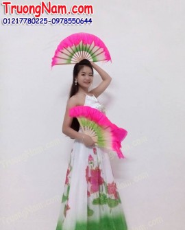 Cho thuê đầm múa tại HCM: Đầm múa công chúa - DM005