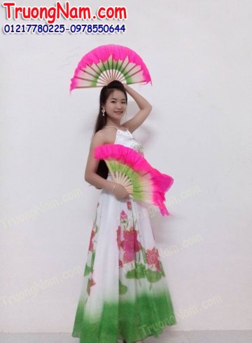 Cho thuê đầm múa tại HCM: Đầm múa công chúa - DM005
